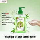 डरमिक्स हैंड वाश नीम & एलोवेरा 250ml 