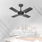 Maxotech Aflred Ultra High Speed 24 Inch 600 mm 4 Blade Ceiling Fan  