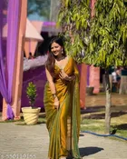Soft Golden Chiffon Saree for Women 