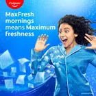 कोलगेट मैक्सफ्रेश टूथपेस्ट, रेड जेल पेस्ट मेंथॉल फॉर सुपर सुपर फ्रेश ब्रीथ 42 g 