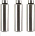 Stainless Steel Water Bottle (Silver, 1000 ml) (Pack of 3)