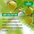 Natural Amla & Indigo Leaf Powder for Skin & Hair 