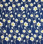 Glace Cotton Printed Double Bedsheet with Two Pillow Covers 