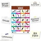 Bookford Publications My small chart Numbers, Birds & Tables 