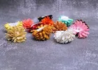 Hair Pins for Women 