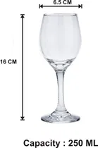 Liquor cum Cocktail Glass 