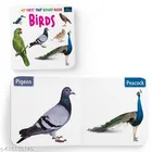 My First Tiny Board Book Birds for Kids Toddlers Babies Early Learning Picture Book Durable Board Book Vocabulary Development Preschool Kindergarten Learning Fun Gift for Boys Girls
