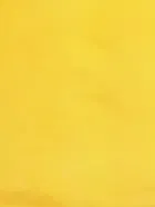 SVB मैसूर सिल्क साड़ी फॉर विमेंस 