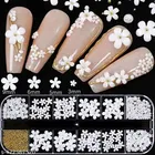 Floral Nail Decorations, Multicolor, Set of 1