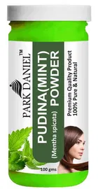 Park Daniel Premium Pudina Powder 