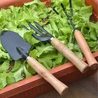 Immutable Garden Tools for Home Gardening Set, Gardening Trowel, Garden Fork, Wooden Handle 