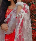 Embroidered Rajasthani Net Sewing & Embroidery 