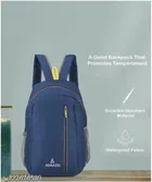 Polyester Backpack for Men & Women (Blue)