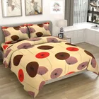Glace Cotton Printed Double Bedsheet with Two Pillow Covers 