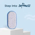 Gubb Pumice Stone 