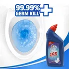 Captain Shine Disinfectant Toilet Cleaner 250 ml