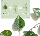 Plastic Artificial Garlands Plant for Home Decor for Women 