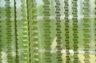 Sheer Plain Green Door Curtain 7ft Combo 