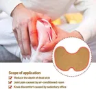 Knee Pain Relief 10 Pcs Heating Patch 