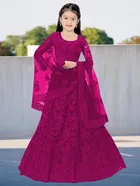 Net Embroidered Semi Stitched Lehenga for Girls 