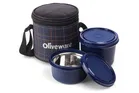 Cleo Microwave Safe Leak Proof 2 Stainless Steel Full Meal Containers With Insulated Fabric Bag 