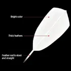 White Feather Shuttle Cock for Juniors 