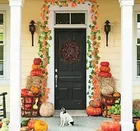 Akaar Decor Money Plant and Maple Leaf Creeper pack of 4