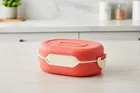 Parikshit Testy Lunch Box, pack of 1-Orange