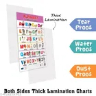 Bookford Publications Both Sides Big Laminated Charts – Alphabet 