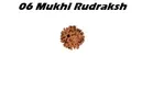 3 Mukhi Rudrakash Pendant (Brown)