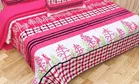 Polycotton Double Bedsheet with 2 Pillow Cover 