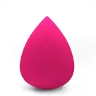 12 Piece Makeup Brush Set With Makeup Blender Combo 