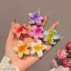 Vibrant Hair Clips for Women 