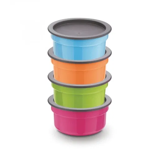Asian 4 Pcs Leakproof Container (300ml, Multicolor)