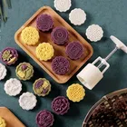 Moon Cake Mold Press with 5 Stamps, Multicolour, Set of 1
