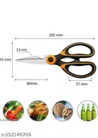 Stainless Steel Scissor 