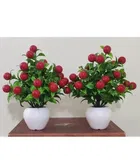 Green Gallery Pack of 2 Cherry Plant 13Wx17L cm