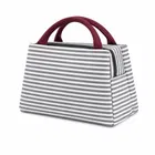 Blue Stripe Insulated thermal Lunch Bag