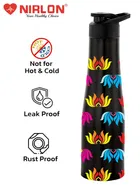 Stainless Steel Insulated Single Wall Water Bottle 