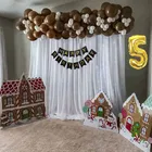 Browni Theme 5th Birthday Balloon Decoration Kit , Multicolor, Pack Of 65