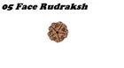 3 Mukhi Rudrakash Pendant (Brown)