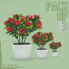 Plastic Bonsai Rose Plant with Pot (Multicolor, Set of 3)