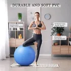 Anti Burst Exercise Gym Ball with Pump [65 cm, Blue]