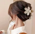 Plastic Hair Claw Clips for Women & Girls 