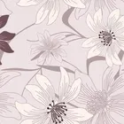 CG Homes Cotton Double Bedsheet 90x100 Inch with 2 Pillow Cover 