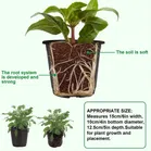 Plastic Round Gardening Planters, Pack of 12 Black