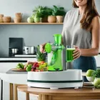 Manual Hand Juicer with Handle 