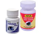 Keva Constipation Care Churan 
