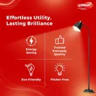 Eveready 9 W Standard 2 Pcs B22 LED Bulb 