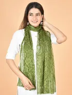 Net Self-Design Dupatta for Women 